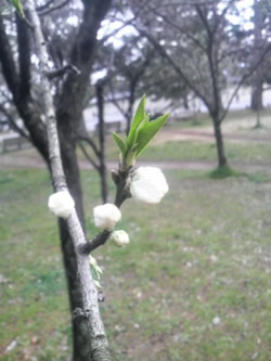 ̉